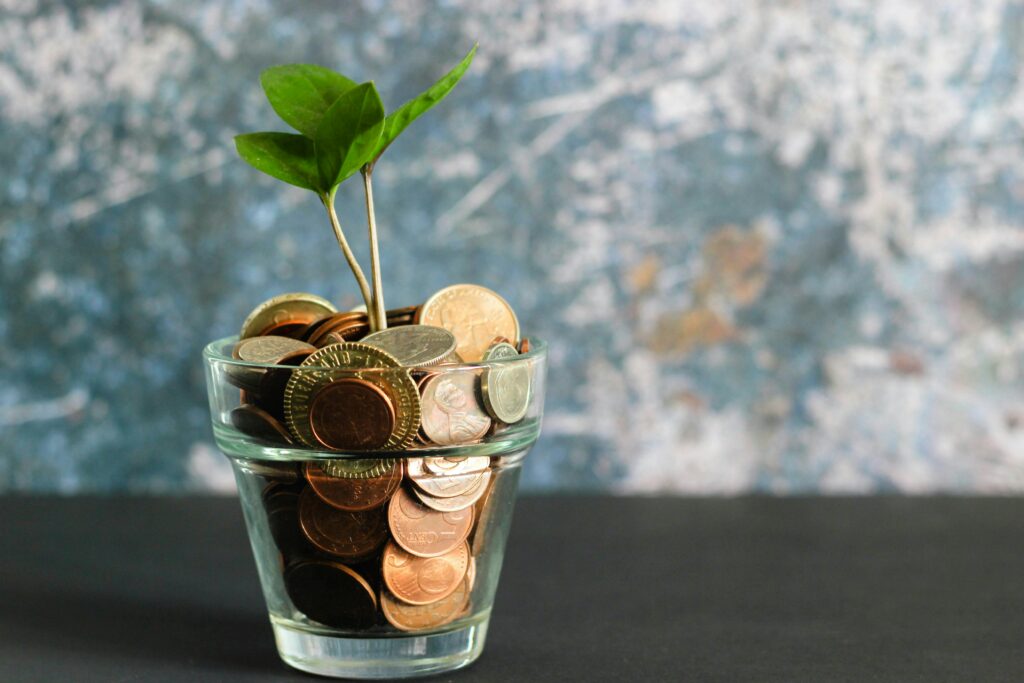 Plant growing from money.